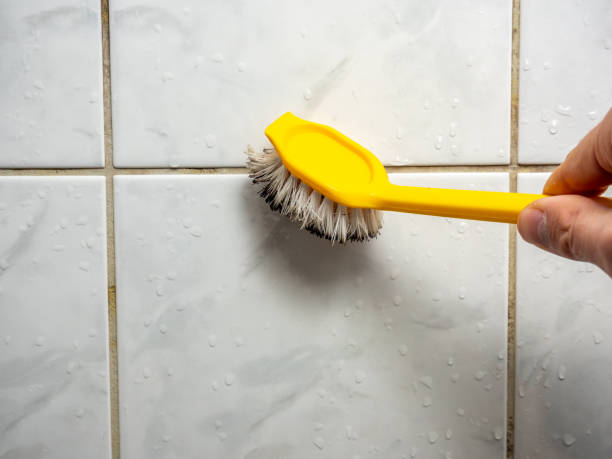 Professional Mold Removal in Old Mystic, CT