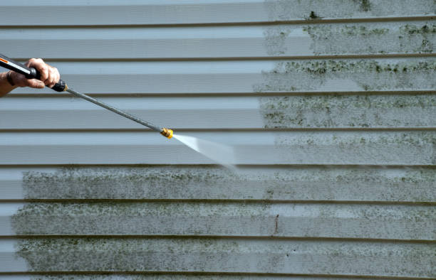 Best Home Mold Removal  in Old Mystic, CT